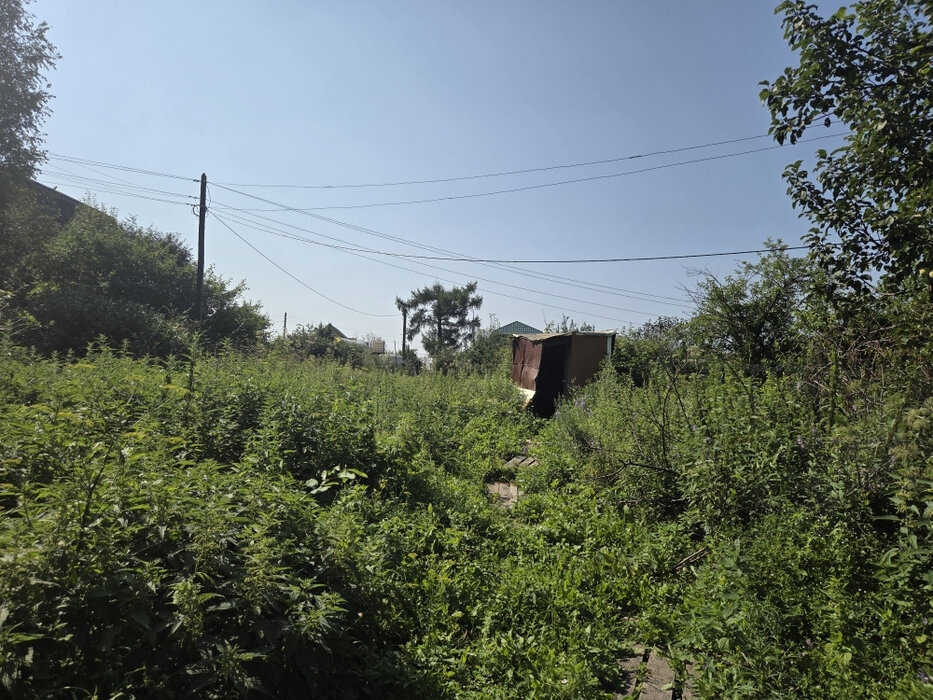 Екатеринбург, СНТ. Надежда Свердловск-Сортировочный, уч. 96 - фото сада (6)
