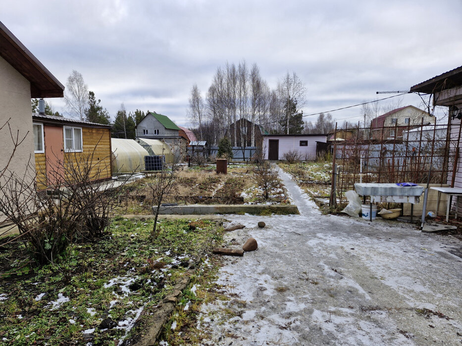 Екатеринбург, СНТ Монолит, уч. 69 (Медный) - фото сада (5)