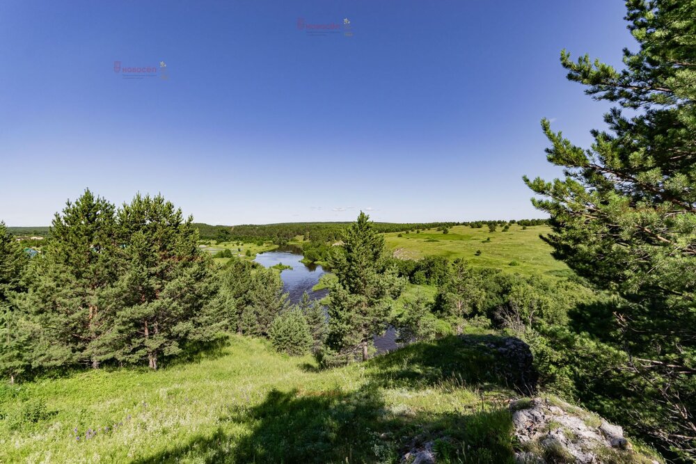 с. Липино, ул. Школьная, 4 (городской округ Артемовский) - фото готового бизнеса (2)