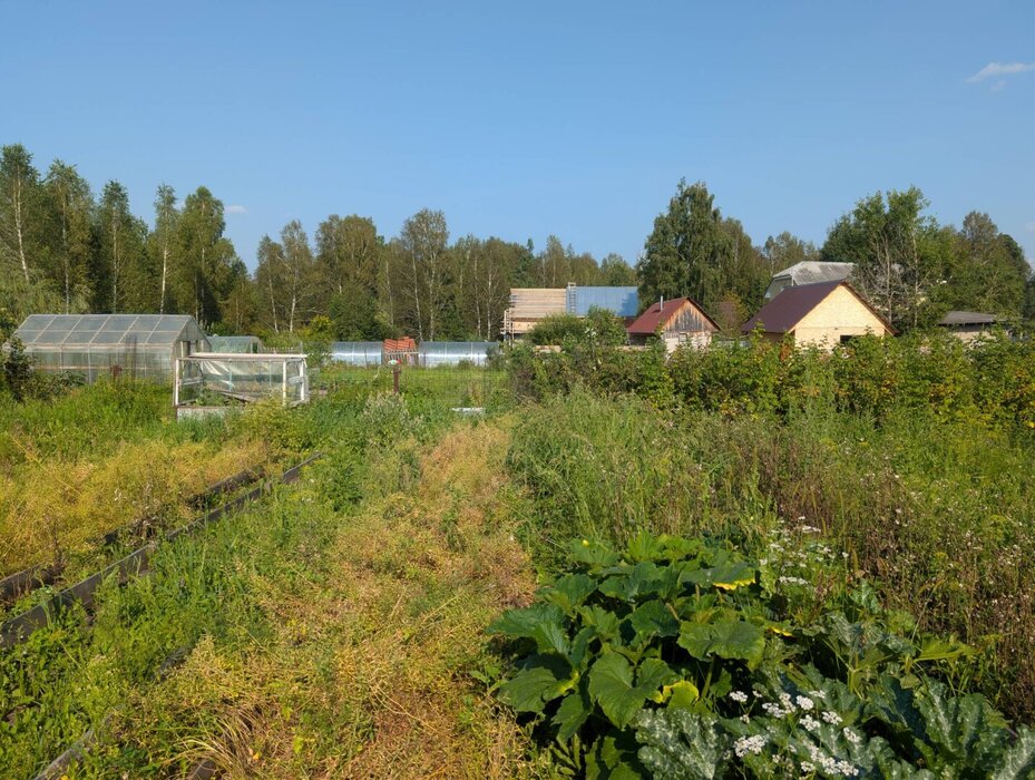 п. Становая, ул. Восточная, 49 (городской округ Березовский) - фото дома (6)