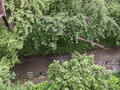 Аренда квартиры: Екатеринбург, ул. Бахчиванджи, 12 (Кольцово) - Фото 10