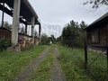 Продажа земельного участка: п. Колюткино, ул. Западная (городской округ Белоярский) - Фото 2