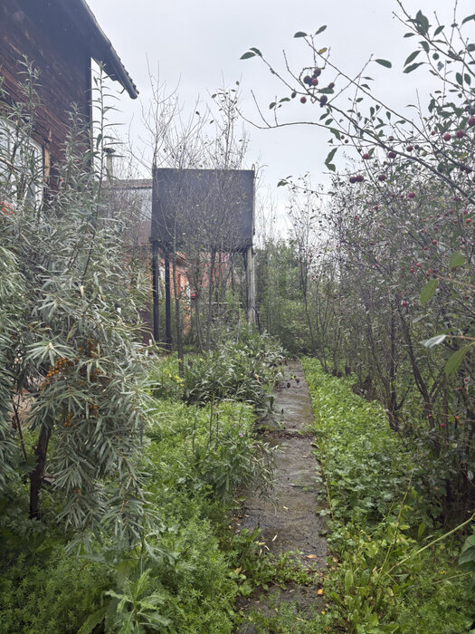 п. Колюткино, ул. Западная (городской округ Белоярский) - фото земельного участка (6)