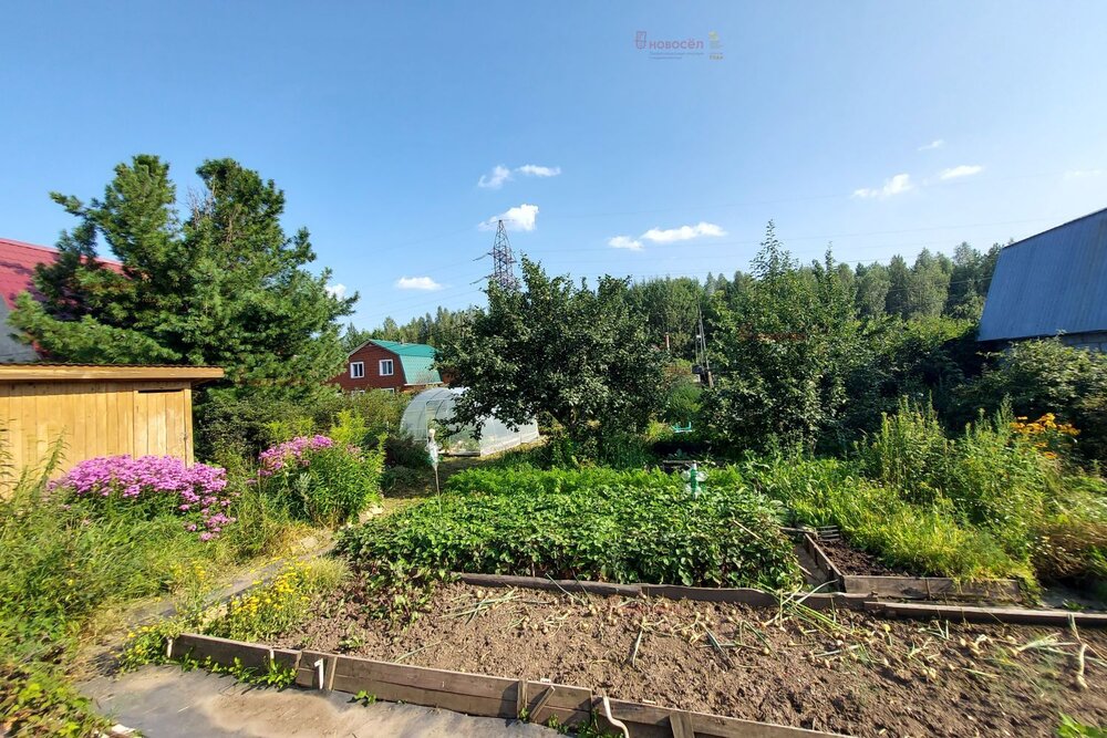 г. Березовский, СТ 78, уч. 36 (городской округ Березовский) - фото сада (1)