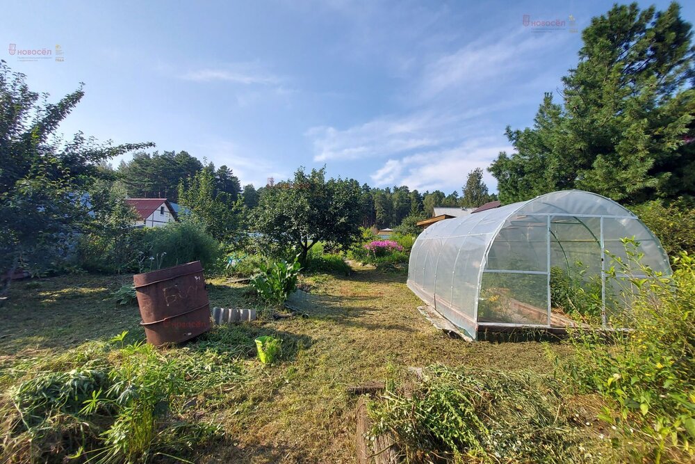 г. Березовский, СТ 78, уч. 36 (городской округ Березовский) - фото сада (3)