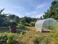 Продажа садового участка: г. Березовский, СТ 78, уч. 36 (городской округ Березовский) - Фото 3