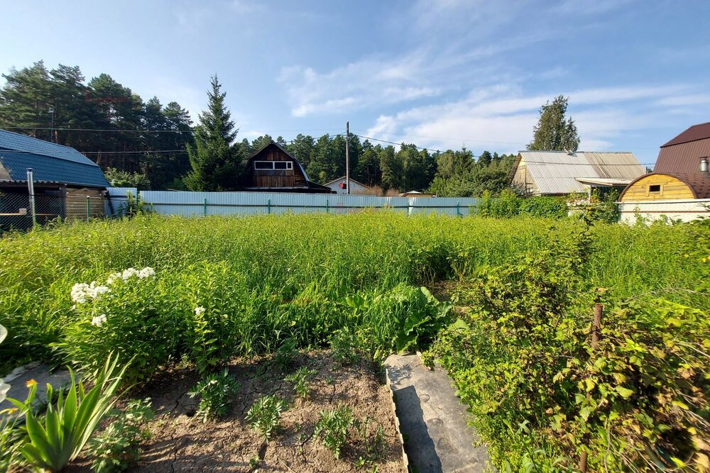 г. Березовский, СТ 78, уч. 36 (городской округ Березовский) - фото сада (6)