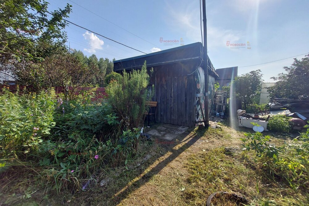 г. Березовский, СТ 78, уч. 36 (городской округ Березовский) - фото сада (7)