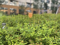 Продажа квартиры: Екатеринбург, ул. Мраморская, 15 (Уктус) - Фото 3