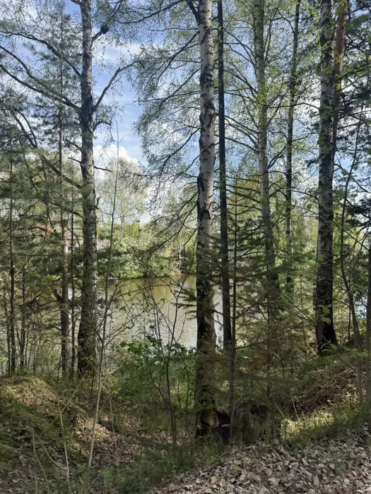 п. Монзино, № 5 Рыбак (городской округ Горноуральский) - фото сада (4)