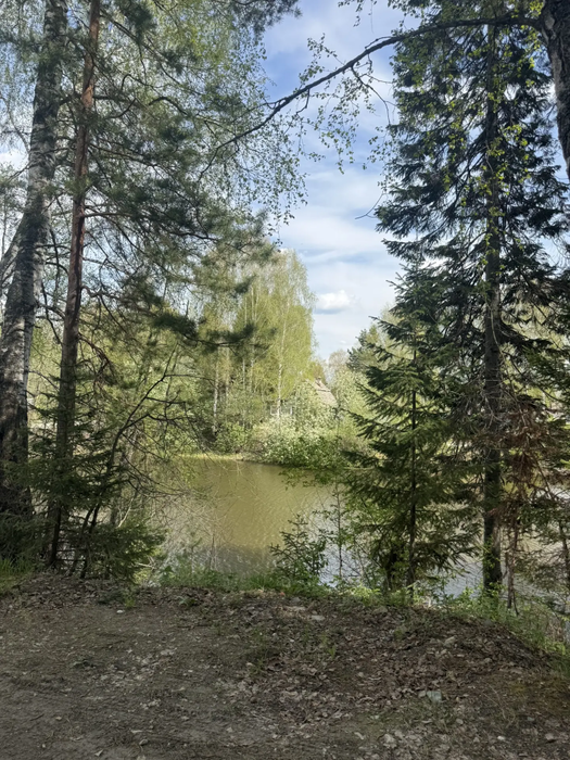 п. Монзино, № 5 Рыбак (городской округ Горноуральский) - фото сада (5)
