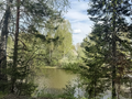 Продажа садового участка: п. Монзино, № 5 Рыбак (городской округ Горноуральский) - Фото 5