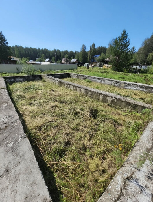 п. Кедровка, к/с  ОРГРЭС-2 (городской округ Березовский) - фото сада (3)