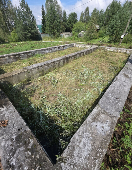 п. Кедровка, к/с  ОРГРЭС-2 (городской округ Березовский) - фото сада (4)