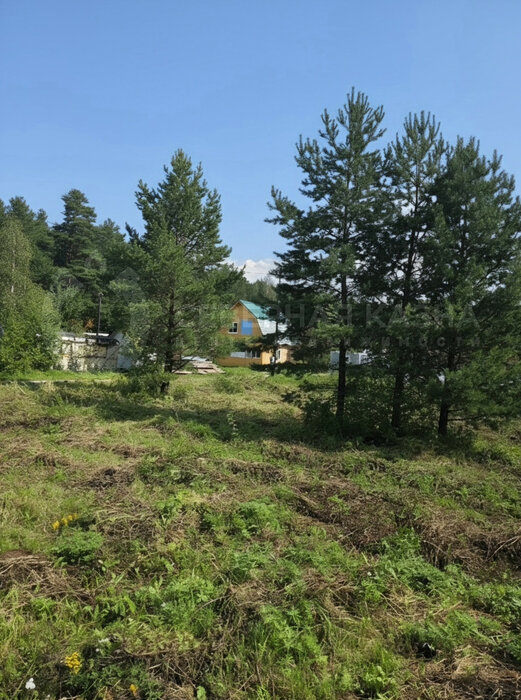 п. Кедровка, к/с  ОРГРЭС-2 (городской округ Березовский) - фото сада (5)