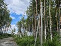 Продажа земельного участка: ДНП «Аэродром», ул. Окружная - (Екатеринбург, с. Горный щит) - Фото 3
