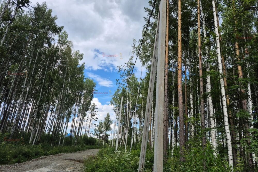 ДНП «Аэродром», ул. Окружная - (Екатеринбург, с. Горный щит) - фото земельного участка (4)