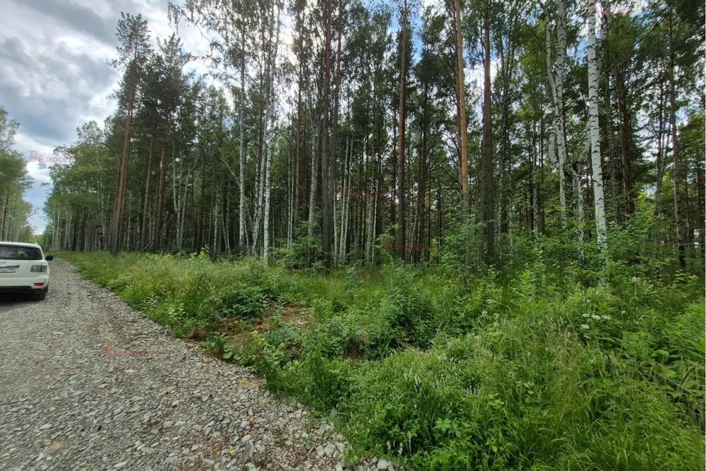 ДНП «Аэродром», ул. Окружная - (Екатеринбург, с. Горный щит) - фото земельного участка (5)