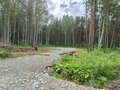 Продажа земельного участка: ДНП «Аэродром», ул. Окружная - (Екатеринбург, с. Горный щит) - Фото 6