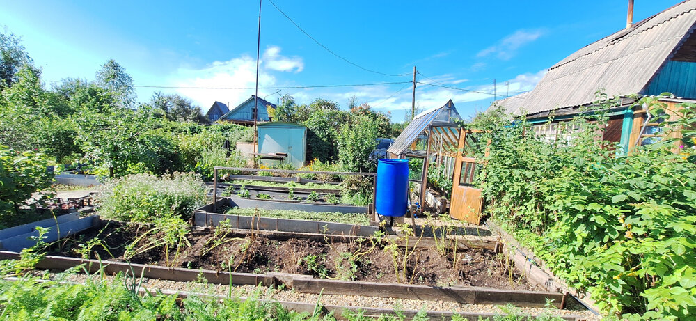 г. Нижний Тагил, к/с  СТ Дружба, уч. 4-я (городской округ Нижний Тагил) - фото сада (6)