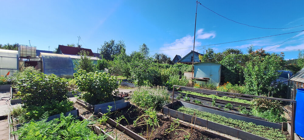 г. Нижний Тагил, к/с  СТ Дружба, уч. 4-я (городской округ Нижний Тагил) - фото сада (7)