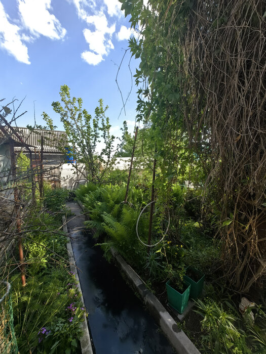 г. Верхняя Пышма, СНТ Машиностроитель (городской округ Верхняя Пышма) - фото сада (6)