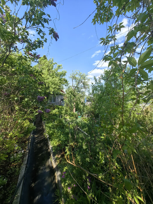г. Верхняя Пышма, СНТ Машиностроитель (городской округ Верхняя Пышма) - фото сада (8)