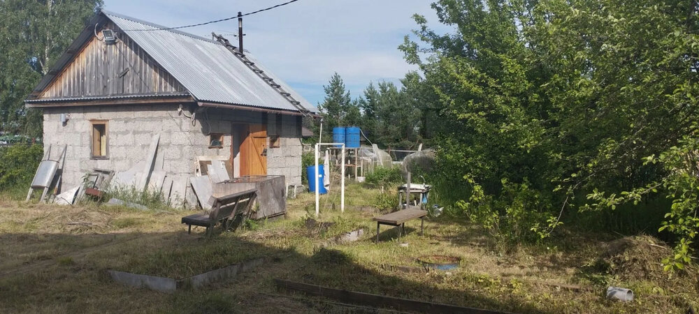 с. Логиново, коллективный сад Мечта Автобазы № 2, уч.   (городской округ Белоярский) - фото сада (14)