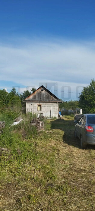 с. Логиново, коллективный сад Мечта Автобазы № 2, уч.   (городской округ Белоярский) - фото сада (4)