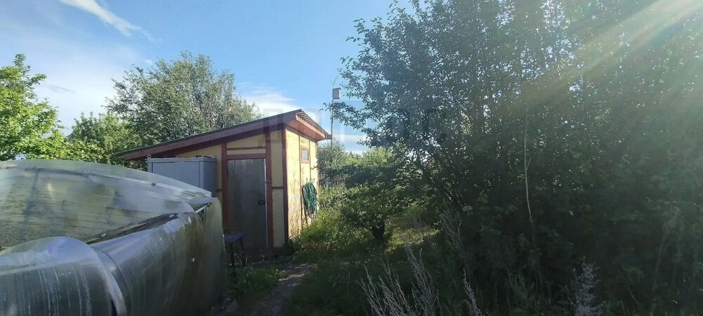 с. Логиново, коллективный сад Мечта Автобазы № 2, уч.   (городской округ Белоярский) - фото сада (5)