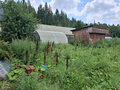 Продажа дачи: г. Первоуральск, ул. коллективный сад № 66, (городской округ Первоуральск) - Фото 3