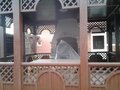 Продажа коттеджей: Екатеринбург, ул. Соколиная, 26 (Шувакиш) - Фото 3