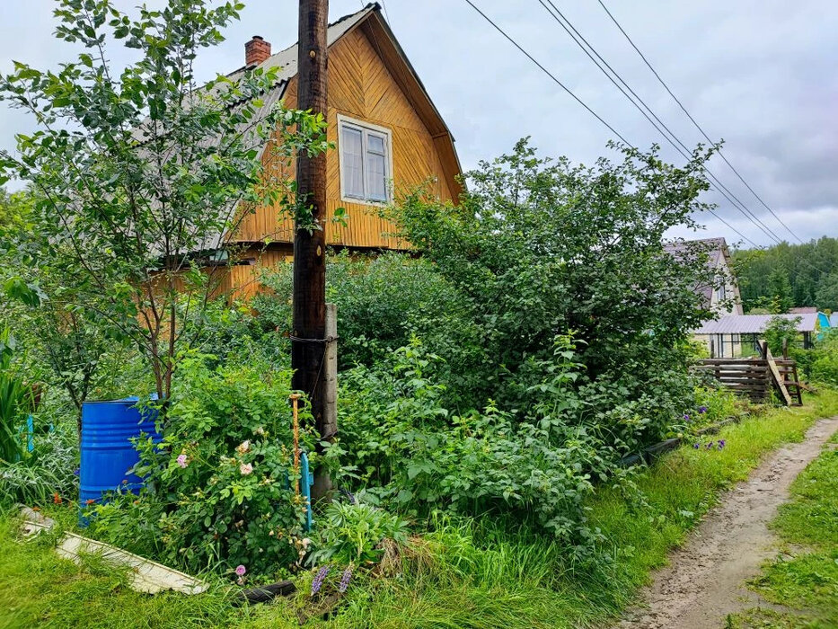 с. Таватуй, СНТ Металлоштамп (городской округ Невьянский) - фото сада (1)