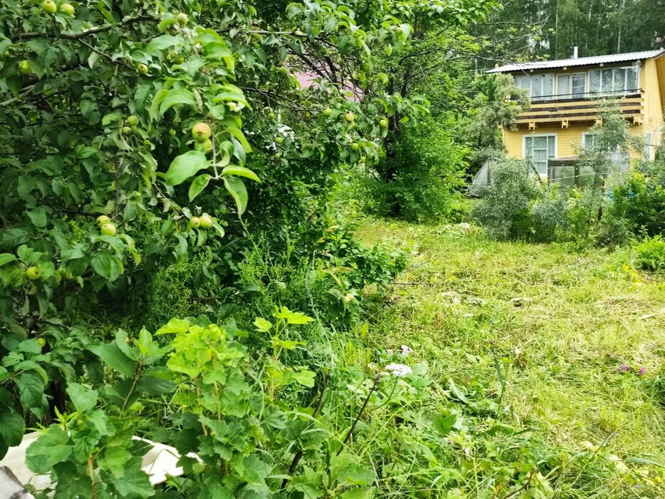 с. Таватуй, СНТ Металлоштамп (городской округ Невьянский) - фото сада (12)