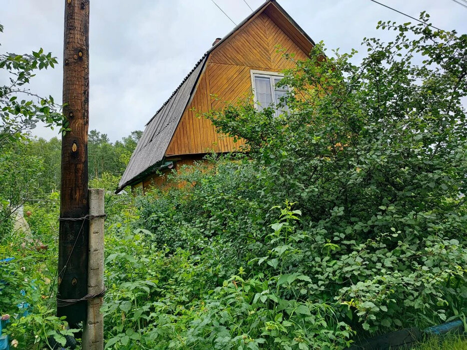 с. Таватуй, СНТ Металлоштамп (городской округ Невьянский) - фото сада (2)