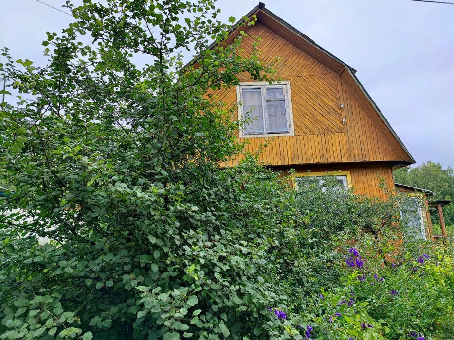 с. Таватуй, СНТ Металлоштамп (городской округ Невьянский) - фото сада (3)