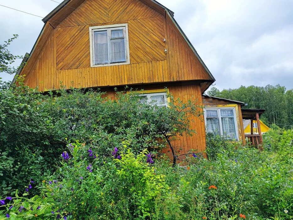 с. Таватуй, СНТ Металлоштамп (городской округ Невьянский) - фото сада (4)