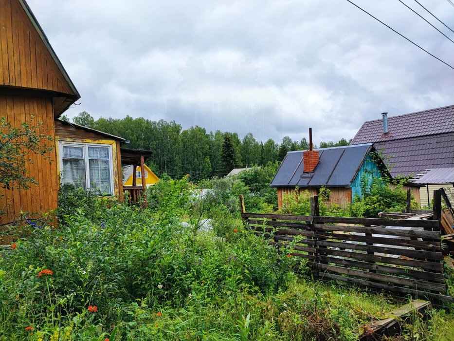 с. Таватуй, СНТ Металлоштамп (городской округ Невьянский) - фото сада (5)