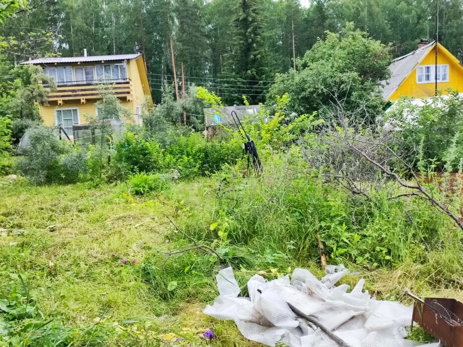с. Таватуй, СНТ Металлоштамп (городской округ Невьянский) - фото сада (6)