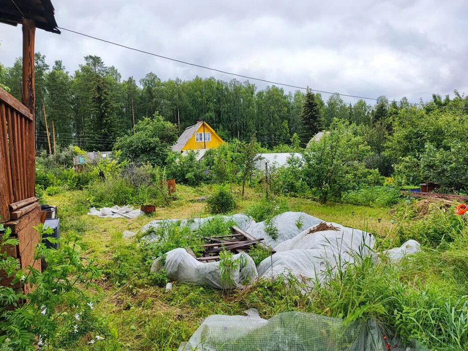 с. Таватуй, СНТ Металлоштамп (городской округ Невьянский) - фото сада (7)