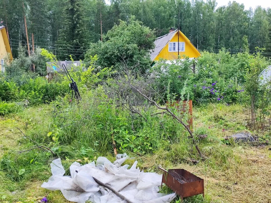 с. Таватуй, СНТ Металлоштамп (городской округ Невьянский) - фото сада (8)