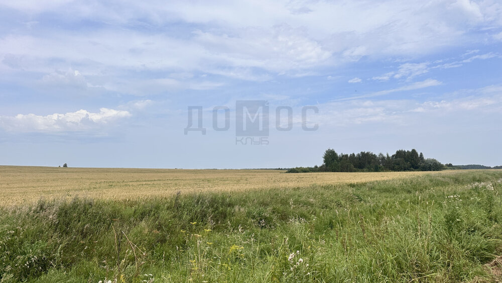 г. Алапаевск, ул. Мичурина, 12 (городской округ Город Алапаевск) - фото земельного участка (5)
