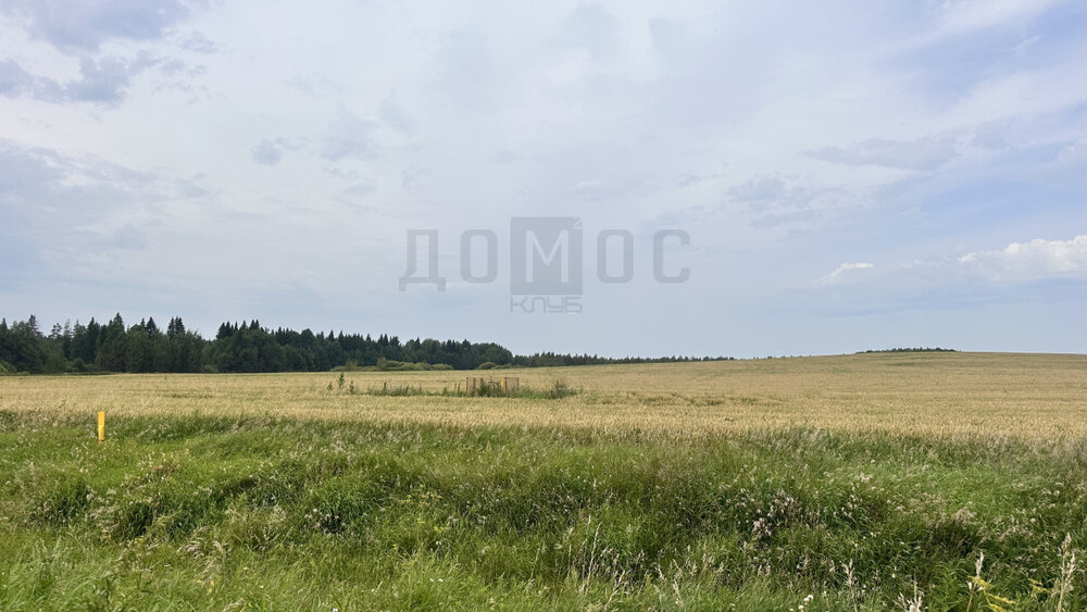 г. Алапаевск, ул. Мичурина, 12 (городской округ Город Алапаевск) - фото земельного участка (6)