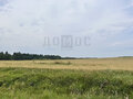 Продажа земельного участка: г. Алапаевск, ул. Мичурина, 12 (городской округ Город Алапаевск) - Фото 6