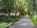 Продажа комнат: Екатеринбург, ул. Старых Большевиков, 18 (Эльмаш) - Фото 12