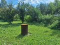Продажа дачи: п. Зеленый бор, ул. Центральная,   (городской округ Верхняя Пышма) - Фото 12