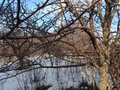 Продажа дома: с. Логиново, ул. Бажова (городской округ Белоярский) - Фото 6