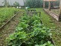 Продажа дома: п. Шайдуриха, ул. Апрельская, 11 (городской округ Невьянский) - Фото 4