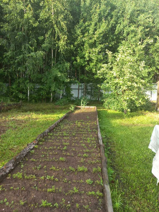 п. Шайдуриха, ул. Апрельская, 11 (городской округ Невьянский) - фото дома (5)