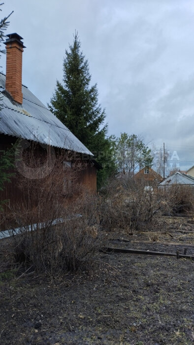 п. Большой Исток, СНТ Дорожник (городской округ Сысертский) - фото сада (3)